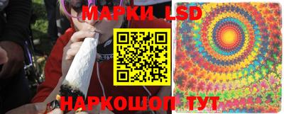 эйфоретик Бузулук