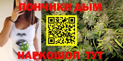 шишки Будённовск