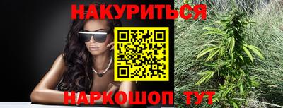 шишки Будённовск