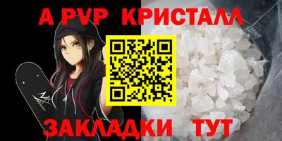 шишки Будённовск