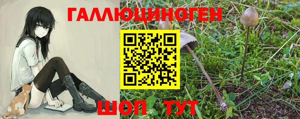 Галлюциногенные грибы MAGIC MUSHROOMS Темрюк